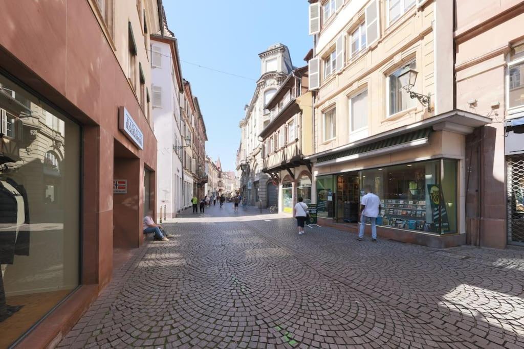 Le Nid Alsacien - Charmant T2 Au Centre Ville De Страсбург Экстерьер фото